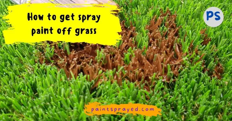removing spray paint from grass surface