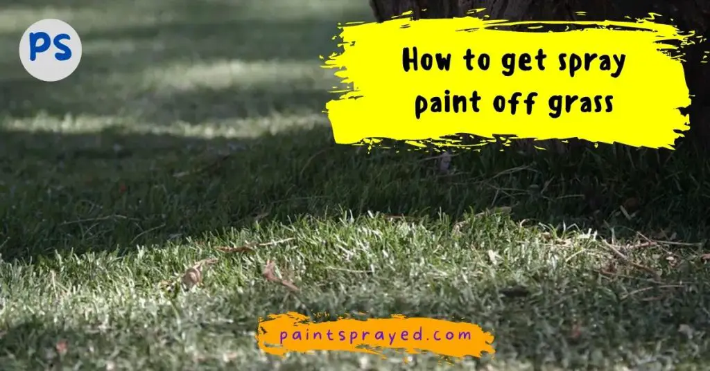 removing paint from grass surface