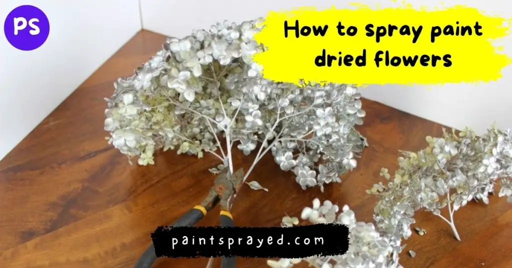 spray paint dried flowers