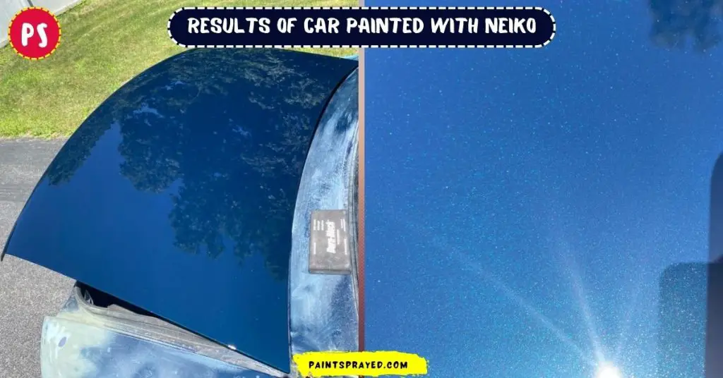 result of car painted with NEIKO 31215A spray gun