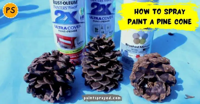 Spray paint a pine cone
