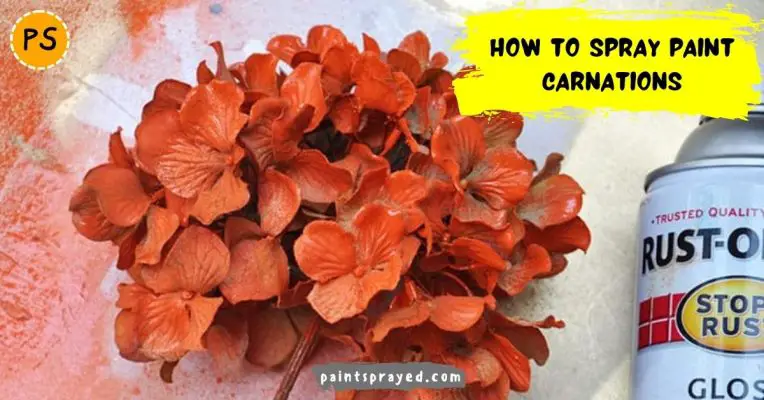 Spray paint carnations