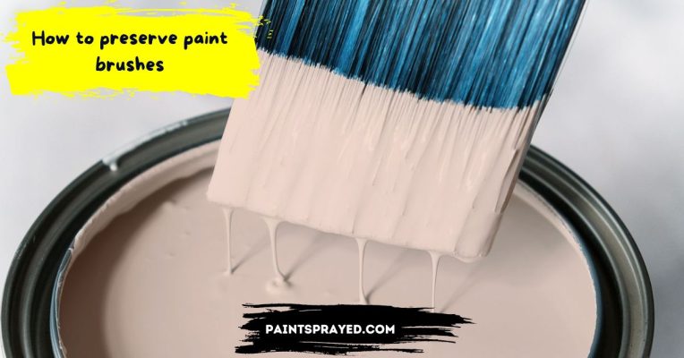 How to preserve paint brushes - Paint sprayed