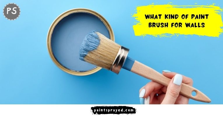 Kind of paint brush for walls