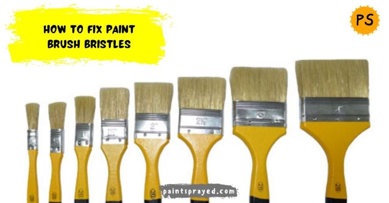 Paint brush bristles
