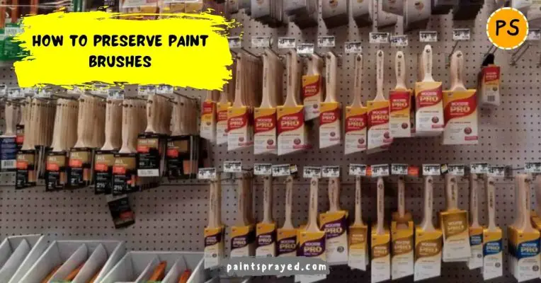 Preserve paint brush