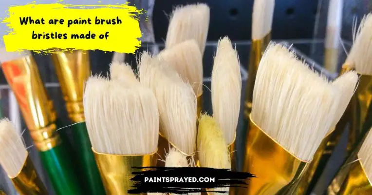  What Are Paint Brush Bristles Made Of Paint Sprayed