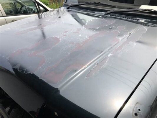 Car hood repaint cost