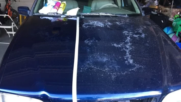 Car hood repaint cost