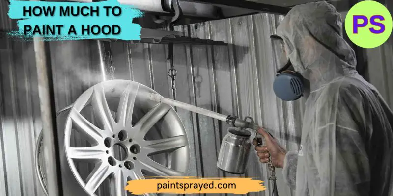 Rim painting cost